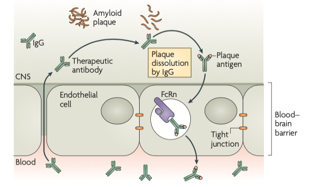 未来会更好 ---“6.15重症肌无力关爱日”特别报道 - 海默医学